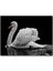 Göldeki Beyaz Kuğu Monochrome 120 Parça Puzzle Yapboz Mdf (Ahşap) 1