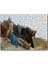 Game Of Thrones Daenerys Targaryen 255 Parça Puzzle Yapboz Mdf (Ahşap) 1