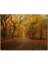 Sonbahar Sarı Kızıl Yapraklar Ağaçlı Yol 120 Parça Puzzle Yapboz Mdf (Ahşap) 1