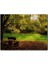 Ağaçlar ve Koyu Gölgedeki Ahşap Bank 120 Parça Puzzle Yapboz Mdf (Ahşap) 1