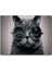 Gözlüklü Siyah Kedi ve Formüller 1000 Parça Puzzle Yapboz Mdf(Ahşap) 1
