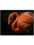 Ihtiyar Flamingo Karanlık Arkaplan 1000 Parça Puzzle Yapboz Mdf(Ahşap) 1