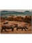 Muhteşem Boynuzlu Gergedan ve Yavrusu 255 Parça Puzzle Yapboz Mdf (Ahşap) 1