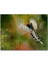 Uçan Cennet Kuşu 120 Parça Puzzle Yapboz Mdf (Ahşap) 1