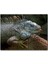 Dalın Üzerinde Dinlenen Iguana 1000 Parça Puzzle Yapboz Mdf(Ahşap) 1