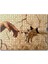 Tanrı'nın Eli ve Robot Eli Revizyon 255 Parça Puzzle Yapboz Mdf (Ahşap) 1