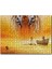 Pi'nin Yaşamı Kaplan Sandal ve Çocuk 500 Parça Puzzle Yapboz Mdf (Ahşap) 1