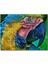 Macaw Papağanı Rengarenk Başı Yakın Plan 120 Parça Puzzle Yapboz Mdf (Ahşap) 1
