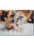 Sevimli Yorkshire Terrier 120 Parça Puzzle Yapboz Mdf (Ahşap) 1