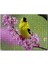 Pembe Çiçekli Dalda Sarı Siyah Kuş 120 Parça Puzzle Yapboz Mdf (Ahşap) 1