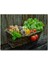 Sepette Taze Sebzeler 120 Parça Puzzle Yapboz Mdf (Ahşap) 1