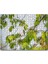 Ağacın Dalları Arasındaki Kırmızı Yüzlü Kuş 120 Parça Puzzle Yapboz Mdf (Ahşap) 1