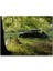 Volvo PV36 Carioca Ile Bir Çiftin Piknik Keyfi 120 Parça Puzzle Yapboz Mdf (Ahşap) 1