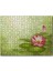 Lotus Çiçeği ve Yeşil Zemin 255 Parça Puzzle Yapboz Mdf (Ahşap) 1