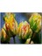 Sarı Turuncu Yeşil Tonlarda Lale Çiçeği 120 Parça Puzzle Yapboz Mdf (Ahşap) 1