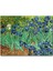 Vincent Van Gogh Irislerim Resim 120 Parça Puzzle Yapboz Mdf (Ahşap) 1