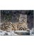 Kar Yağışı ve Leopar Görseli 120 Parça Puzzle Yapboz Mdf (Ahşap) 1