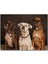 Caka Tablo Cakapuzzle 3 Sevimli Boxer 1000 Parça Puzzle Yapboz Mdf(Ahşap) 1