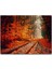 Tren Yolu Orman Bir Sonbahar Resmi 255 Parça Puzzle Yapboz Mdf (Ahşap) 1