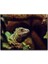 Iguana Yakın Plan Flu Arkaplan 120 Parça Puzzle Yapboz Mdf (Ahşap) 1