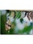 Kelebek Kozası ve Renkli Kelebek Görseli 120 Parça Puzzle Yapboz Mdf (Ahşap) 1