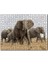 Cakapuzzle Afrika Safarisinde Filler 255 Parça Puzzle Yapboz Mdf (Ahşap) 1