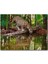Cakapuzzle Ormanda Su Içen Leopar Görseli 120 Parça Puzzle Yapboz Mdf (Ahşap) 1