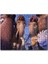 Cakapuzzle Buz Devri Tüm Karakterler 255 Parça Puzzle Yapboz Mdf (Ahşap) 1