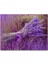 Cakapuzzle Bir Demet Lavanta 120 Parça Puzzle Yapboz Mdf (Ahşap) 1
