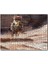 Cakapuzzle Bisikletli Gezgin Tilki 255 Parça Puzzle Yapboz Mdf (Ahşap) 1