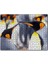 Cakapuzzle Kral Penguenler 255 Parça Puzzle Yapboz Mdf (Ahşap) 1