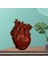 Anatomik Kalp Vazo Reçine Heykeli Saksı Süs Kırmızı 15X10.5X21 cm (Yurt Dışından) 5