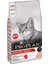 Somonlu Yetişkin Kedi Maması 3 kg 1