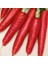 Doğal Kırmızı Atomic Red Havuç Tohumu (50 Tohum) 1