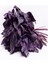 Red Basil Boza Kırmızı Tatlı Fesleğen Tohumu (100 Tohum) 1
