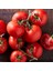 Sofralık 2274 Domates Tohumu (10 Gram) 1