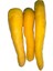 Doğal Solar Yellow Havuç Tohumu (50 Tohum) 1