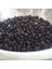 Doğal Black Turtle Siyah Fasulye Tohumu (10 Tohum) 1