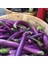 Doğal Long Purple Patlıcan Tohumu (50 Tohum) 1