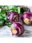 Doğal Mor Kohlrabi (Alabaş) Tohumu (20 Tohum) 1