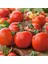 Doğal Verimli Sofralık Falcon Domates Tohumu (2 Gram) 1