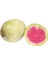 Doğal Içi Kırmızı Dışı Beyaz Sulu Watermelon Turp Tohumu (50 Tohum) 1