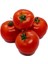 Ince Kabuk SC2121 Domates Tohumu (10 Gram) 1