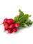 Doğal Big Red Turp Tohumu (25 Tohum) 1