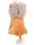 Köpek Oyuncak, Peluş Aslan, 20cm 3
