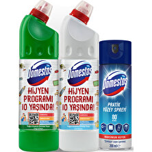 Domestos Yoğun Kıvamlı Çamaşır Suyu 750 ml x 2 + Domestos Pratik Yüzey Spreyi 200 ml