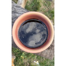 Eğriceova Yaylası Antakya Nar Ekşisi