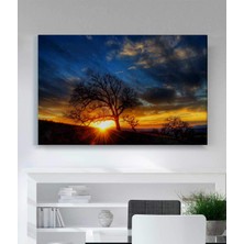 VeraStore Siyah ve Beyaz Ağaç Altın Gün Batımında Kanvas Tablolar