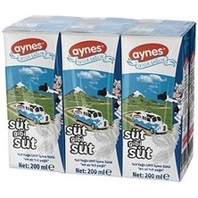 Aynes Süt Yarım Yağlı 27 x 200 ml
