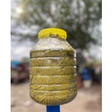 Tarım Bahçem Salamura Yaprak 5 kg